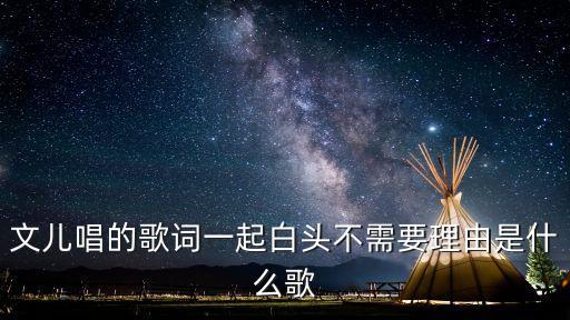 文儿唱的歌词一起白头不需要理由是什么歌