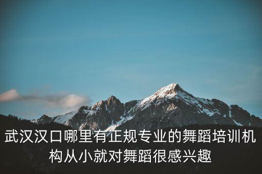 武汉汉口哪里有正规专业的舞蹈培训机构从小就对舞蹈很感兴趣
