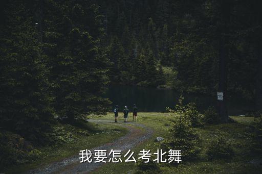 怎么考上北舞，高考怎样考北京舞蹈学院
