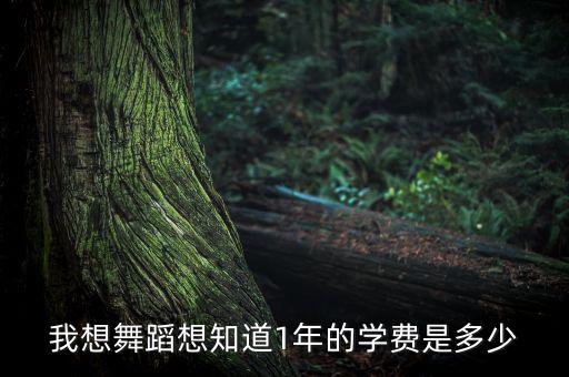 报班学舞蹈要多少钱，请问有谁知道上舞蹈专业学校一年费用多少前期费用多少以后每