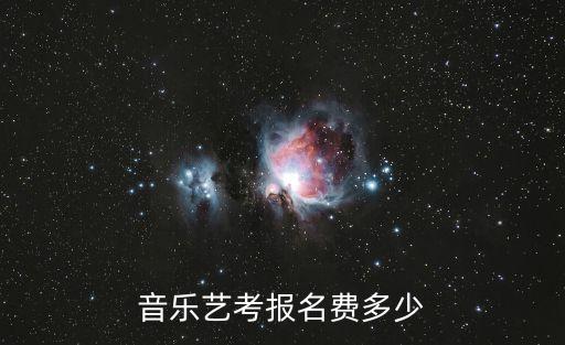 音乐艺考报名费多少
