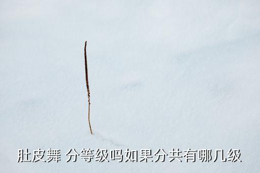 肚皮舞 分等级吗如果分共有哪几级