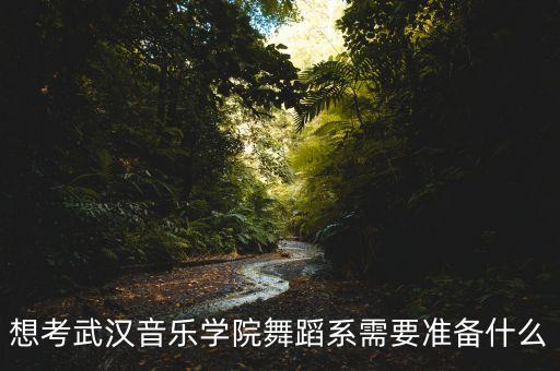 想考武汉音乐学院舞蹈系需要准备什么