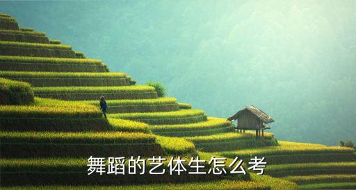 舞蹈的艺体生怎么考
