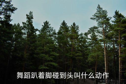 舞蹈动作脚过头叫什么动作，用脚尖来回点地的舞步 很像鬼舞 叫什么