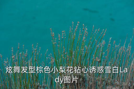 舞蹈发型图片大全，炫舞发型棕色小梨花钻心诱惑雪白Lady图片