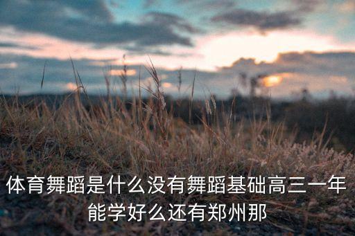 什么叫体育舞蹈，体育舞蹈 是什么东东啊