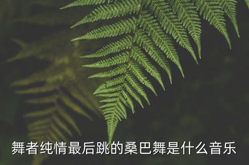 桑巴舞采用什么拍的音乐，桑巴的节拍是