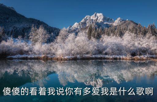傻傻的看着我说你有多爱我是什么歌啊