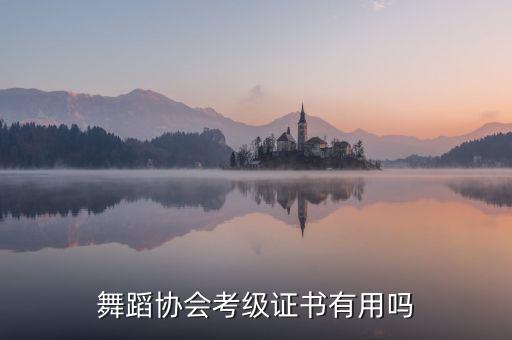 舞蹈协会考级证书有用吗