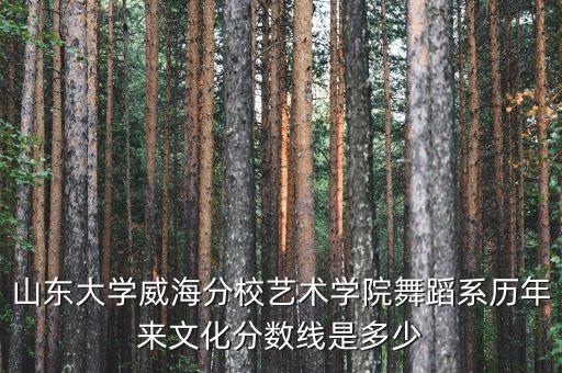 山东大学舞蹈生录取分数线，山东大学艺术音乐 专业 各科总成绩 的录取分数线是多少