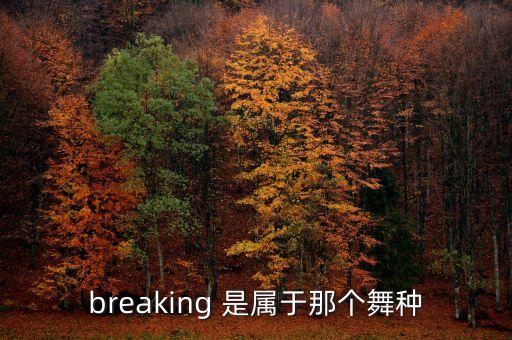 breaking 是属于那个舞种