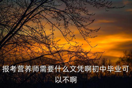 报考营养师需要什么文凭啊初中毕业可以不啊