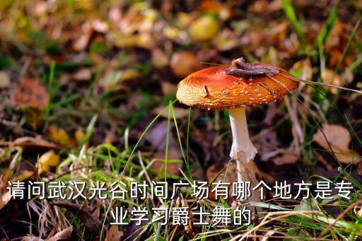 请问武汉光谷时间广场有哪个地方是专业学习爵士舞的