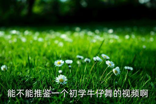 能不能推鉴一个初学牛仔舞的视频啊