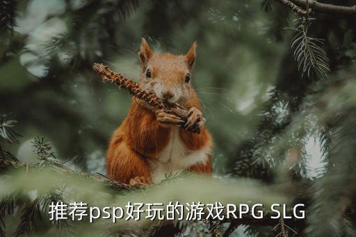 wang的属于什么舞蹈，多肉怎么栽培怎么种植