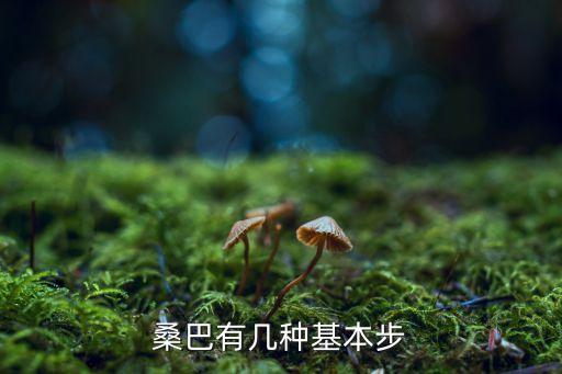 桑巴有几种基本步