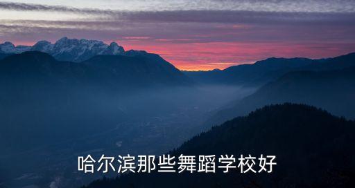 哈尔滨那些舞蹈学校好