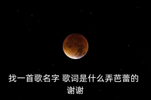 找一首歌名字 歌词是什么弄芭蕾的 谢谢