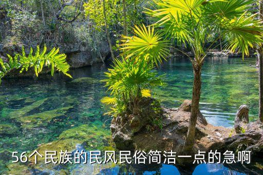 56个民族的民风民俗简洁一点的急啊