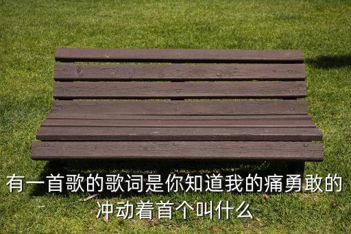 有一首歌的歌词是你知道我的痛勇敢的冲动着首个叫什么
