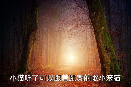 小猫听了可以跟着跳舞的歌小笨猫