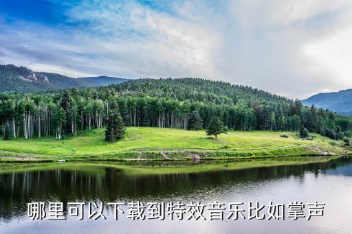 糖豆广场舞 掌声在哪里伴奏，哪里可以下载到特效音乐比如掌声