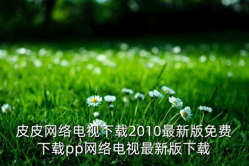 皮皮网络电视下载2010最新版免费下载pp网络电视最新版下载
