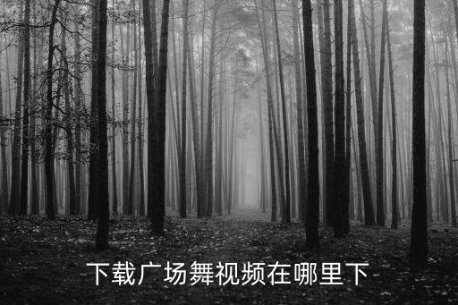 下载广场舞视频在哪里下