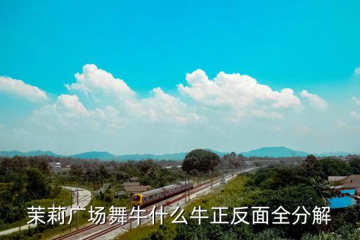 茉莉广场舞牛什么牛正反面全分解
