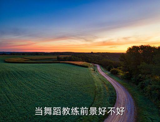有舞蹈教练证就业如何，如果现在上舞蹈成教以后会找不着工作吗