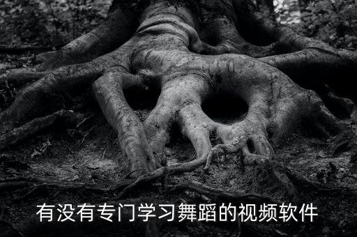 有没有专门学习舞蹈的视频软件