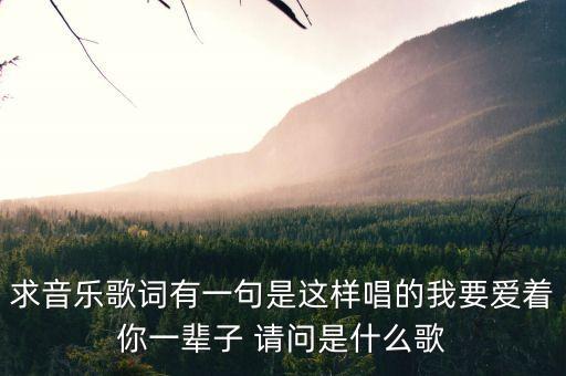 我要好好爱你一辈子是什么歌，时间都去哪里了歌词