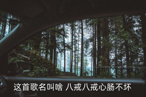八戒八戒八戒是什么歌，这首歌名叫啥 八戒八戒心肠不坏