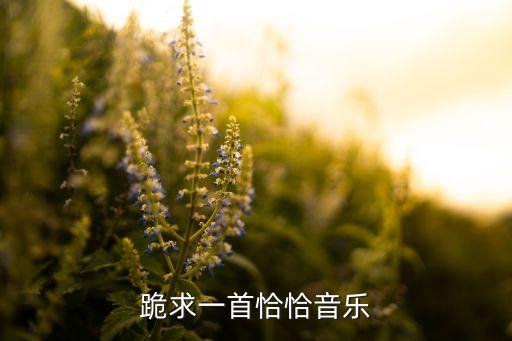 跪求一首恰恰音乐