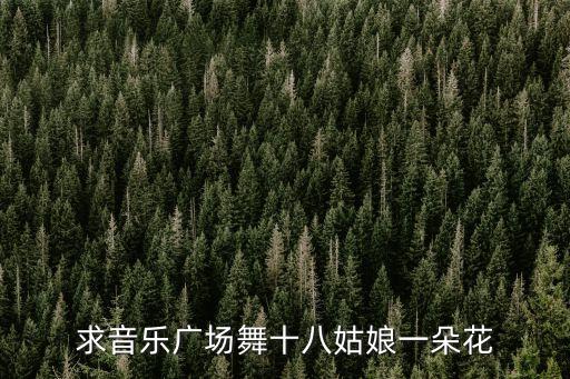 音乐广场舞，快节奏的DJ舞曲适合广场舞的 有的请打包给我传过来谢谢