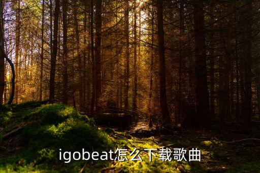 igobeat怎么下载歌曲