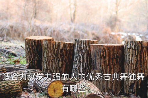 个人独舞古典舞，急求三分钟左右古典舞独舞风格综合性点没有基础的人也可以学