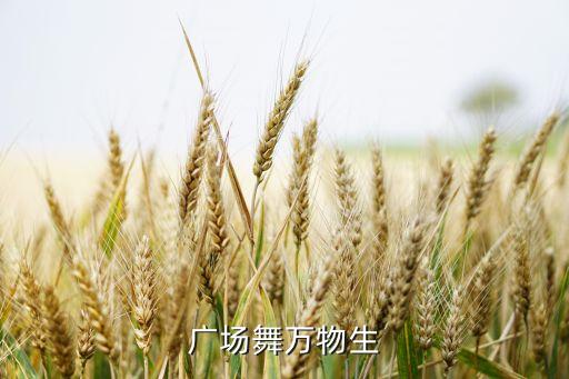 播放广场舞视频大全，广场舞万物生