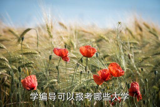 编导类艺考可以上什么学校，学编导可以报考哪些大学