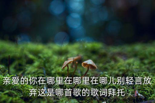 三步踩 亲爱的你在哪里，亲爱的你在哪里在哪里在哪儿别轻言放弃这是哪首歌的歌词拜托
