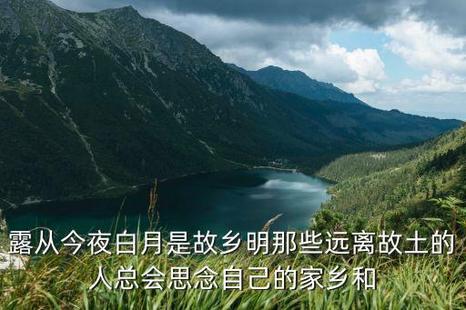 露从今夜白月是故乡明那些远离故土的人总会思念自己的家乡和