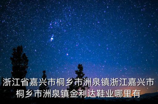 浙江省嘉兴市桐乡市洲泉镇浙江嘉兴市桐乡市洲泉镇金利达鞋业哪里有