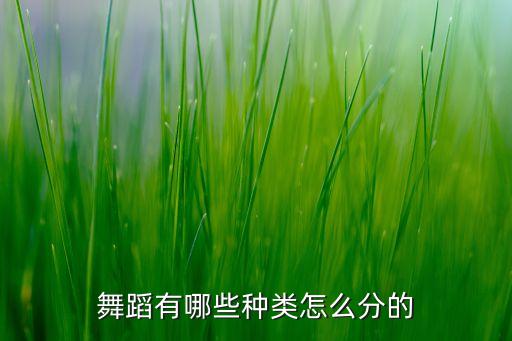 舞蹈有哪些种类怎么分的