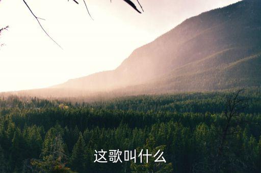 是爷们不说累什么歌，你是爷们别说累的歌词是什么歌呀