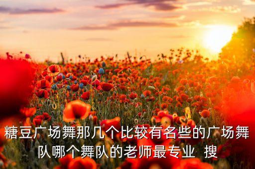 糖豆广场舞那几个比较有名些的广场舞队哪个舞队的老师最专业 搜