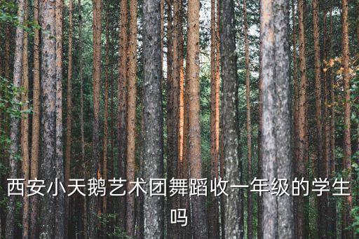 西安小天鹅艺术团舞蹈收一年级的学生吗