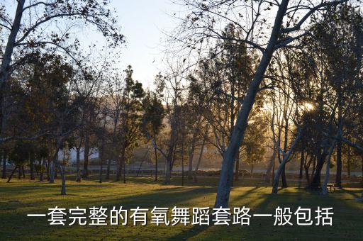 一套完整的有氧舞蹈套路一般包括