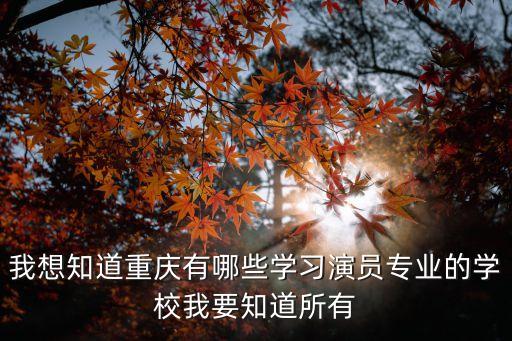 我想知道重庆有哪些学习演员专业的学校我要知道所有