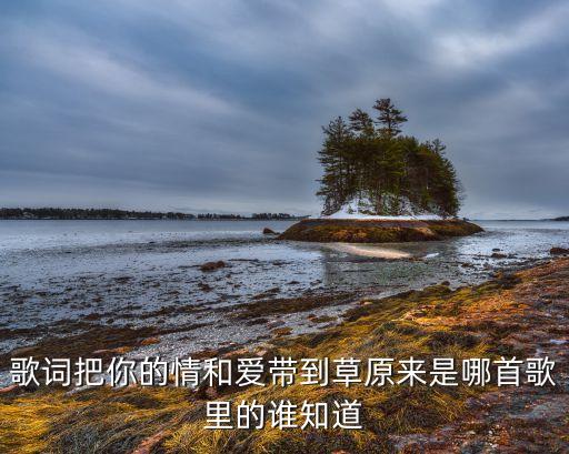 爱从草原来是什么歌曲名字，歌词把你的情和爱带到草原来是哪首歌里的谁知道